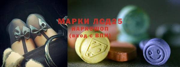 твердый Абаза