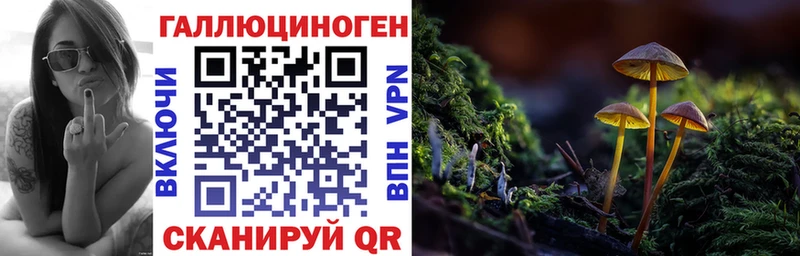 где купить наркотик  kraken ONION  Галлюциногенные грибы Magic Shrooms  Никольское 